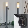 Borne Lumineuse Caserta Anthracite, 1 Lumiere, Detecteur De Mouvement