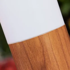 Borne Lumineuse Gabarone Brun, Couleur Bois, 1 Lumiere