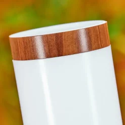 Borne Lumineuse Gaborone Brun, Couleur Bois, 1 Lumiere