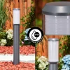 Borne Lumineuse Gondoyer Anthracite, 1 Lumiere