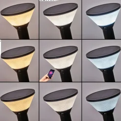 Borne Lumineuse Joennierni Led Noir, 1 Lumiere, Detecteur De Mouvement, Changeur De Couleurs