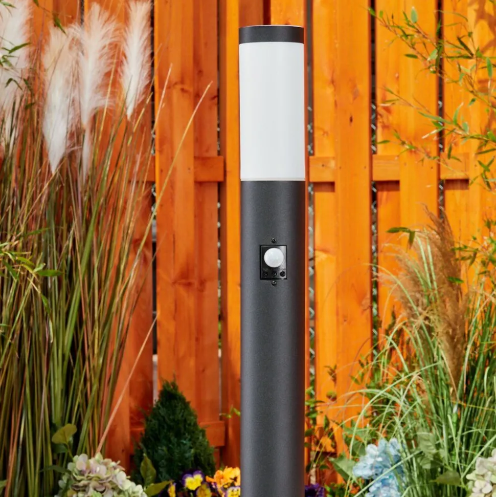 Borne Lumineuse Ruti Noir, 1 Lumiere, Detecteur De Mouvement