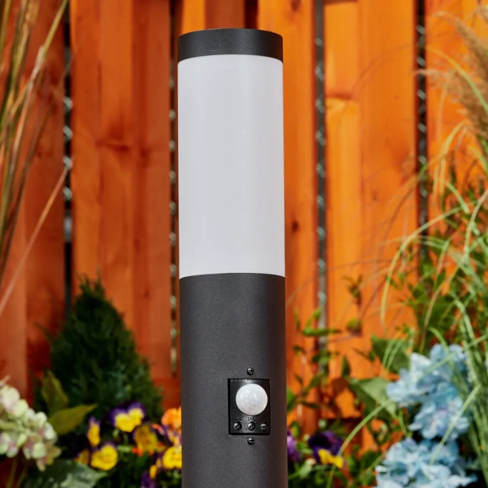 Borne Lumineuse Ruti Noir, 1 Lumiere, Detecteur De Mouvement
