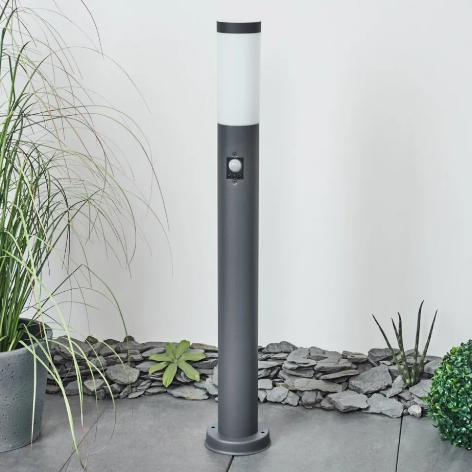 Borne Lumineuse Sessa Anthracite, 1 Lumiere, Detecteur De Mouvement
