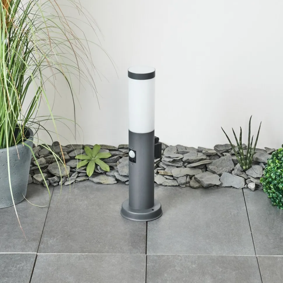 Borne Lumineuse Sessa Anthracite, 1 Lumiere, Detecteur De Mouvement