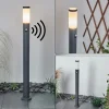 Borne Lumineuse Sessa Anthracite, 1 Lumiere, Detecteur De Mouvement