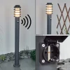 Borne Lumineuse Tunes Anthracite, 1 Lumiere, Detecteur De Mouvement