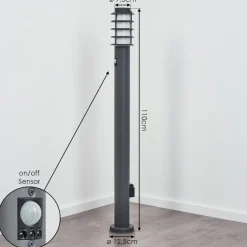 Borne Lumineuse Tunes Anthracite, 1 Lumiere, Detecteur De Mouvement