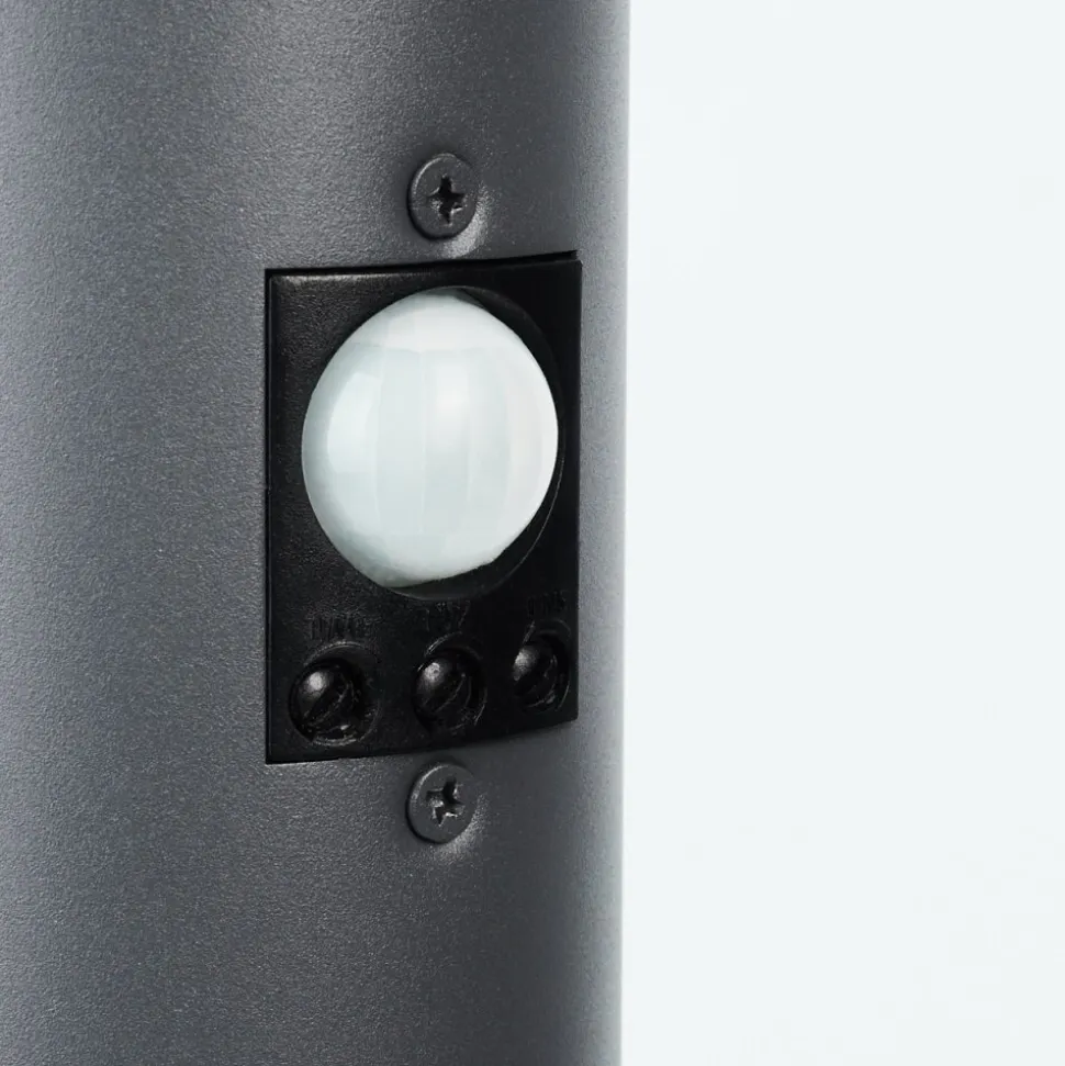 Borne Lumineuse Tunes Nickel Mat, 1 Lumiere, Detecteur De Mouvement