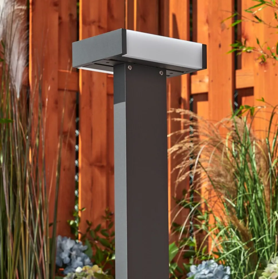 Borne Lumineuseramalheira Led Anthracite, 1 Lumiere