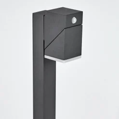 Borne Lumineusetoogong Led Anthracite, 1 Lumiere, Detecteur De Mouvement