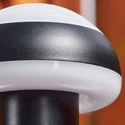 Borne Lumineusevinara Led Noir, 1 Lumiere