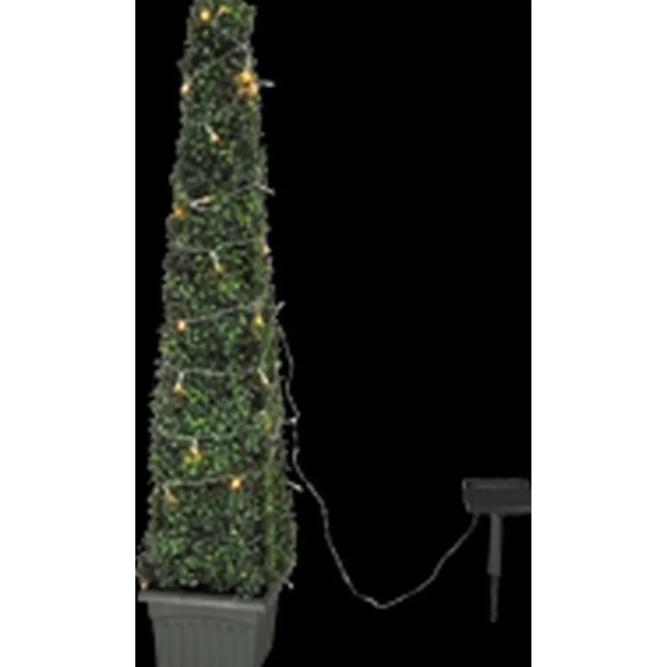 Guirlande Globo Solar Led Noir, 50 Lumieres
