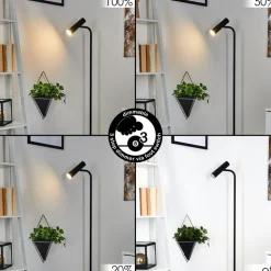 Lampadaire Dalheim Led Noir, 1 Lumiere