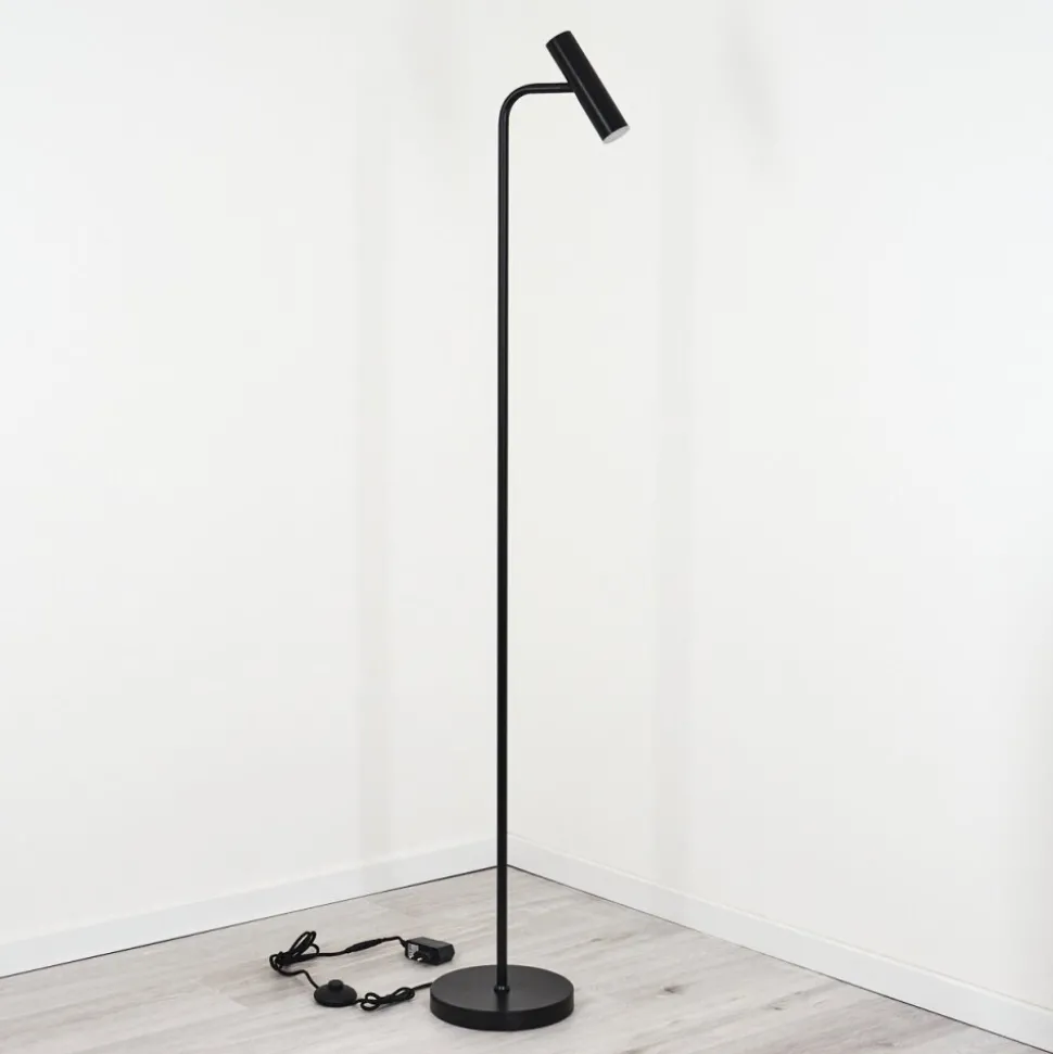 Lampadaire Dalheim Led Noir, 1 Lumiere
