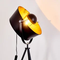 Lampadaire Jupiter Noir Dore, 1 Lumiere