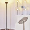 Lampadaire Wonsbek Led Nickel Mat, 1 Lumiere