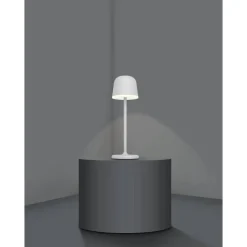 Lampe A Poser Eglo Mannera Led Gris, 1 Lumiere
