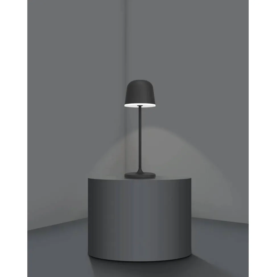 Lampe A Poser Eglo Mannera Led Noir, 1 Lumiere