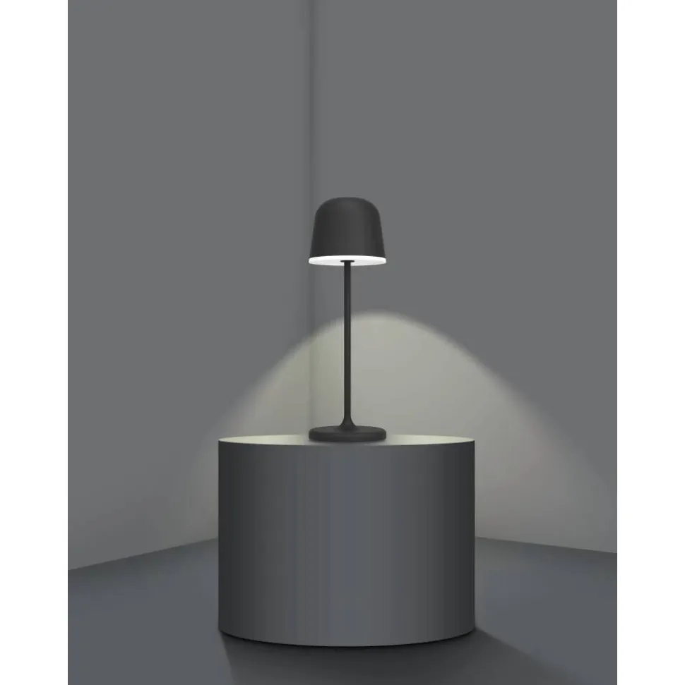 Lampe A Poser Eglo Mannera Led Noir, 1 Lumiere