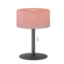 Lampe A Poser Fhl-Easy Cadiz Led Anthracite, 1 Lumiere, Changeur De Couleurs