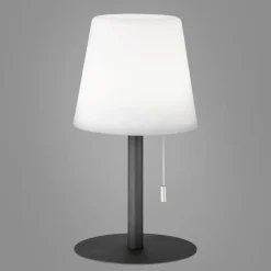 Lampe A Poser Fhl-Easy Garden Led Anthracite, 1 Lumiere, Changeur De Couleurs