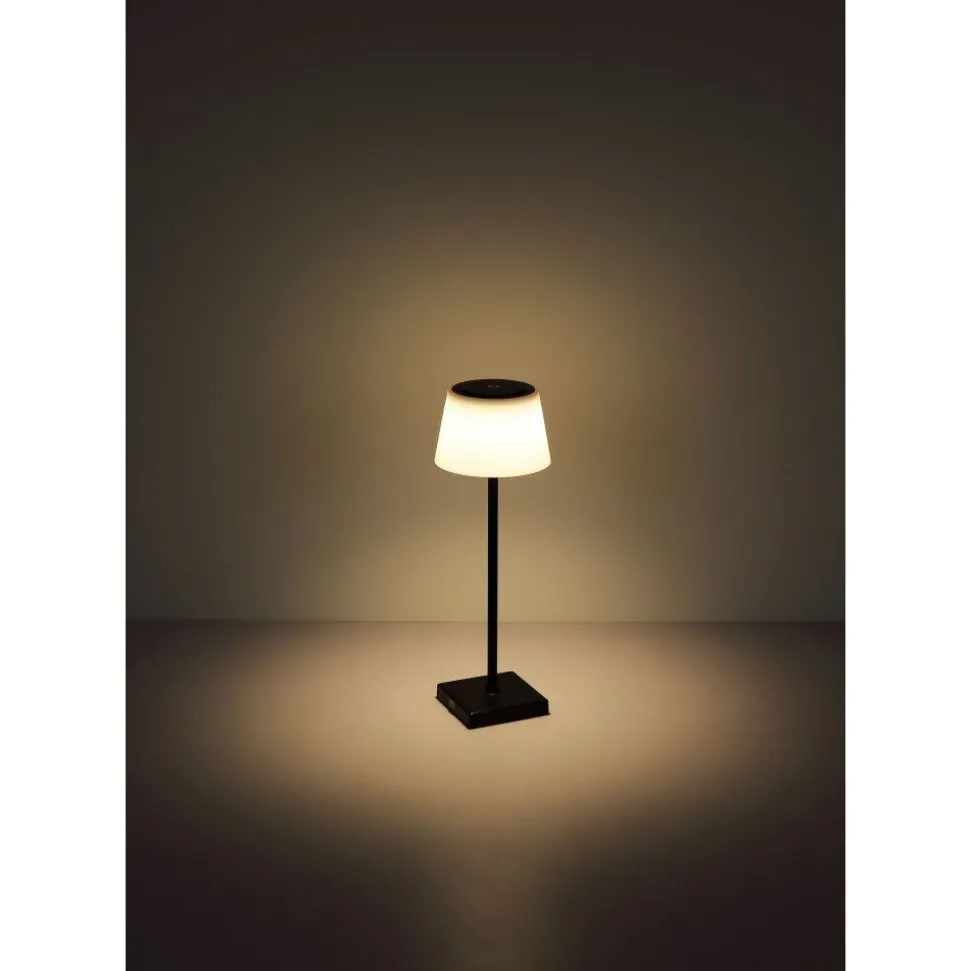 Lampe A Poser Globo Gregoir Led Noir, 1 Lumiere