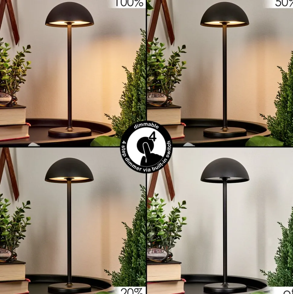 Lampe A Poser Pelaro Led Noir, 1 Lumiere