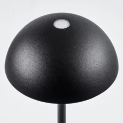 Lampe A Poser Pelaro Led Noir, 1 Lumiere