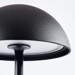 Lampe A Poser Pelaro Led Noir, 1 Lumiere