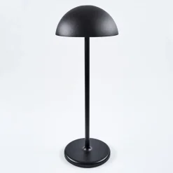 Lampe A Poser Pelaro Led Noir, 1 Lumiere