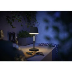 Lampe A Poser Philips Hue Go Led Gris, Noir, 1 Lumiere, Changeur De Couleurs