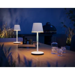 Lampe A Poser Philips Hue Go Led Vert, Blanc, 1 Lumiere, Changeur De Couleurs