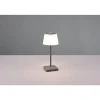 Lampe A Poser Reality Sanchez Led Anthracite, 1 Lumiere, Changeur De Couleurs