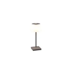 Lampe A Poser Reality Sanchez Led Anthracite, 1 Lumiere, Changeur De Couleurs
