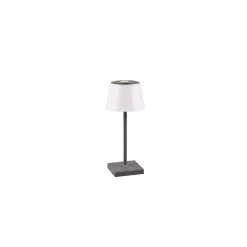Lampe A Poser Reality Sanchez Led Anthracite, 1 Lumiere, Changeur De Couleurs