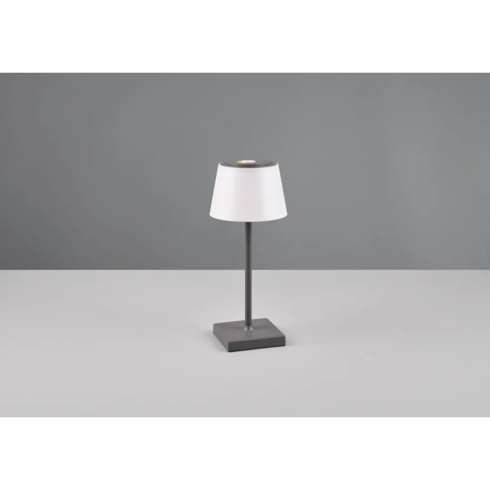 Lampe A Poser Reality Sanchez Led Anthracite, 1 Lumiere, Changeur De Couleurs
