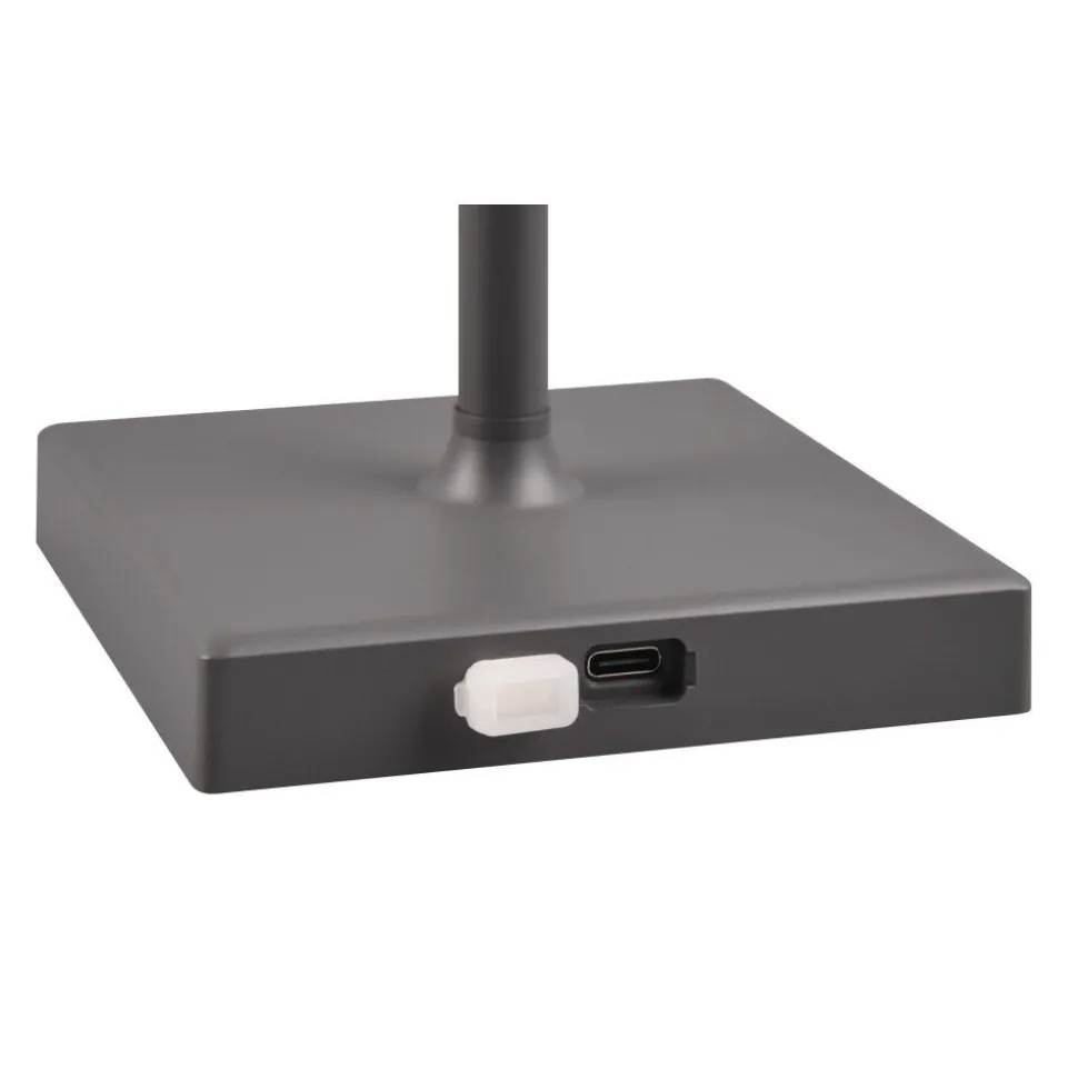 Lampe A Poser Reality Sanchez Led Anthracite, 1 Lumiere, Changeur De Couleurs
