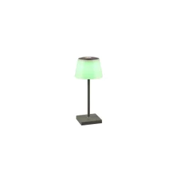 Lampe A Poser Reality Sanchez Led Anthracite, 1 Lumiere, Changeur De Couleurs