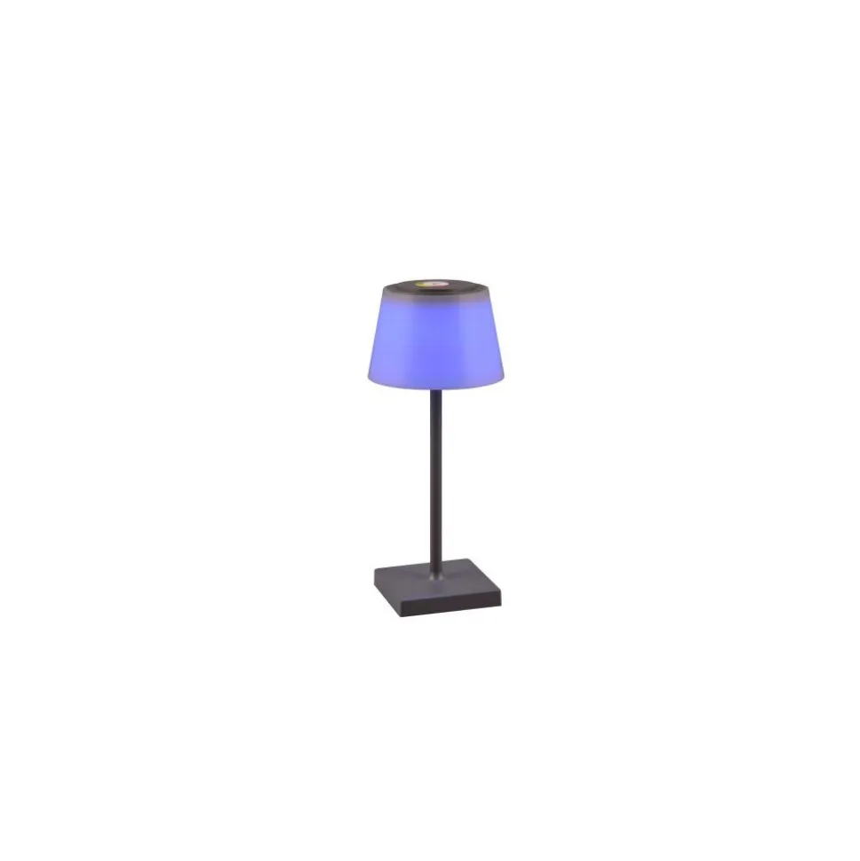 Lampe A Poser Reality Sanchez Led Anthracite, 1 Lumiere, Changeur De Couleurs