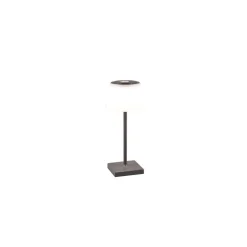 Lampe A Poser Reality Sanchez Led Anthracite, 1 Lumiere, Changeur De Couleurs