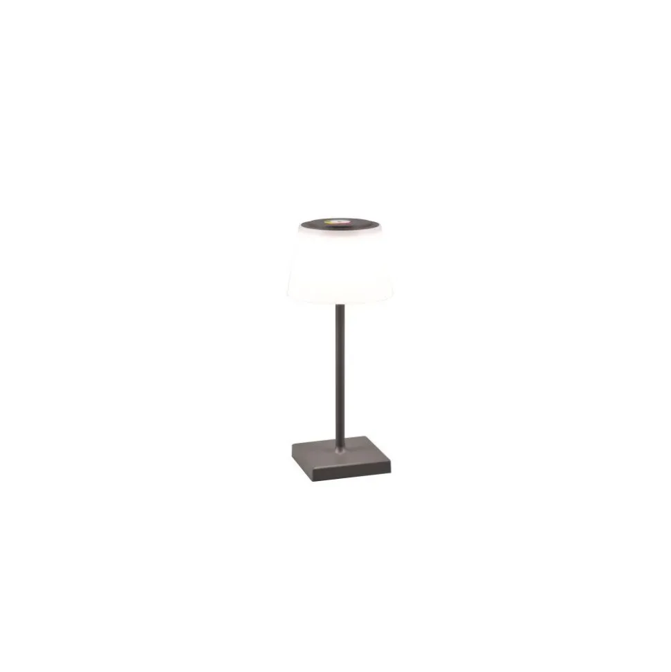 Lampe A Poser Reality Sanchez Led Anthracite, 1 Lumiere, Changeur De Couleurs