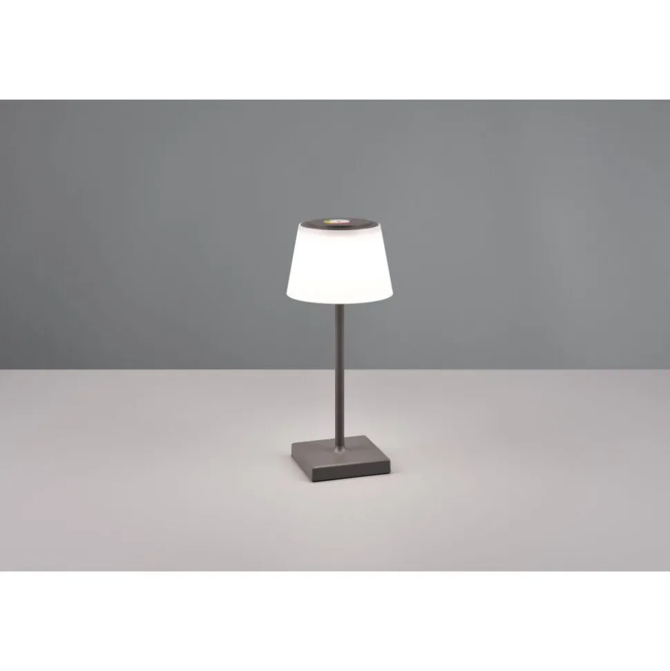 Lampe A Poser Reality Sanchez Led Anthracite, 1 Lumiere, Changeur De Couleurs