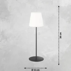 Lampe A Poser Schoner Wohnen-Kollektion Talent Led Anthracite, 1 Lumiere, Telecommandes, Changeur De Couleurs