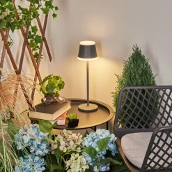 Lampe A Poser Walt Led Anthracite, 1 Lumiere