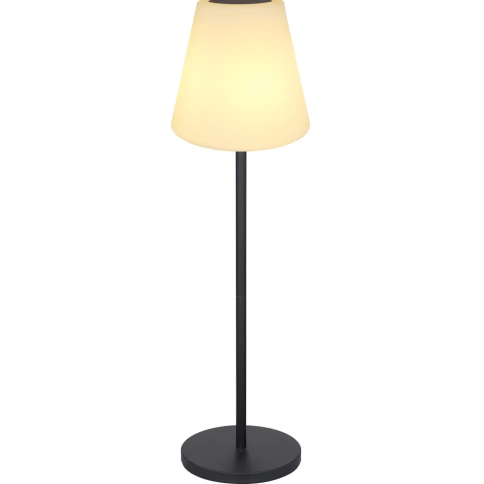 Lampe De Table Globo Solar Led Noir, 2 Lumieres, Telecommandes, Changeur De Couleurs