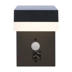 Lampe D'Exterieur Globo Viro Anthracite, 1 Lumiere, Detecteur De Mouvement