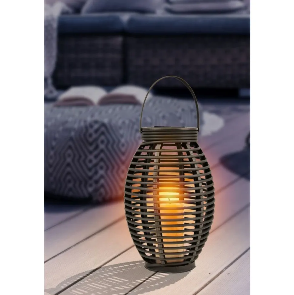 Lampe Solaire Globo Don Led Gris, 1 Lumiere