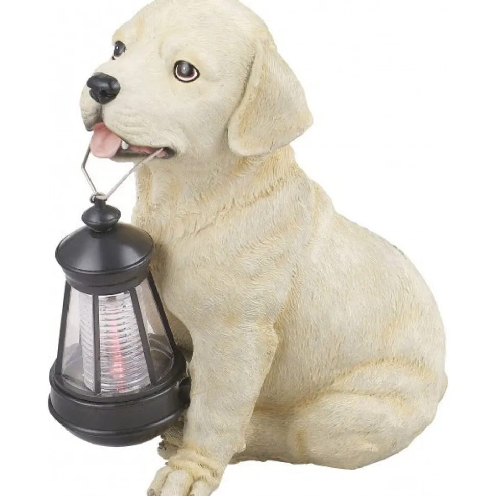 Lampe Solaire Globo Solar Led Multicolore, 1 Lumiere
