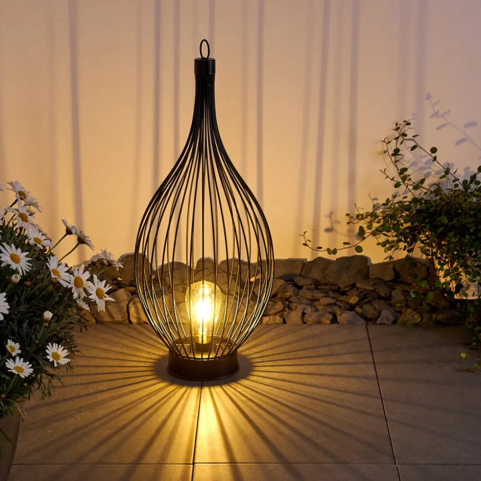 Lampe Solaire Pasadena Led Noir, 1 Lumiere